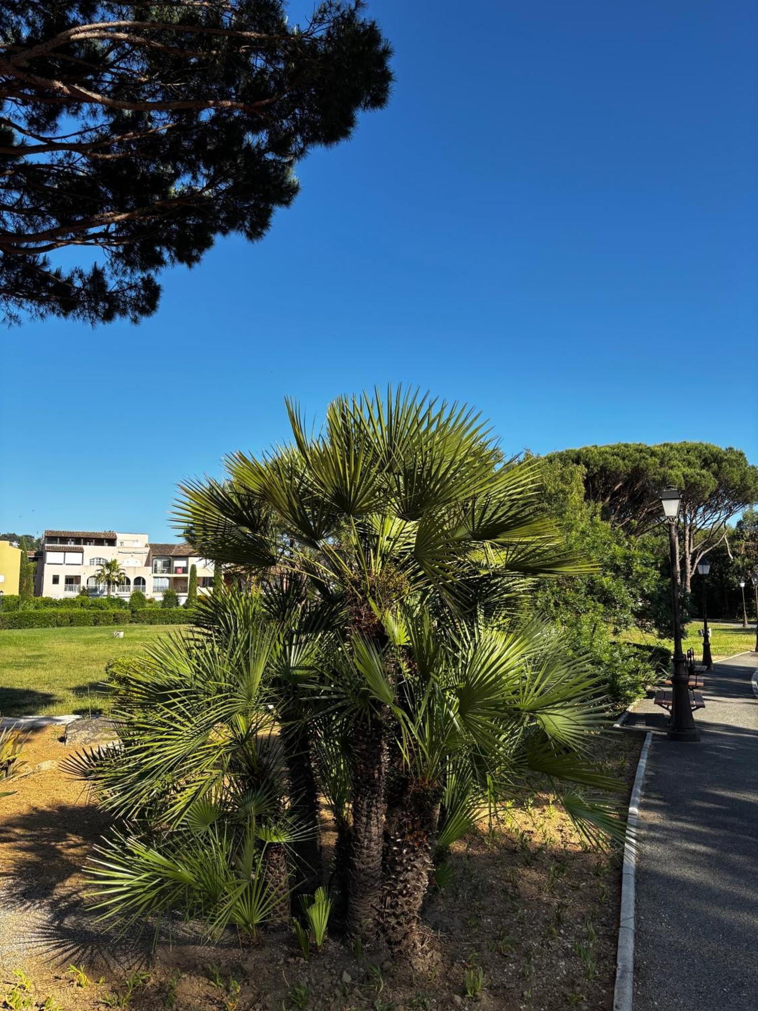 Apartmán La Vie Est Belle Gassin Exteriér fotografie